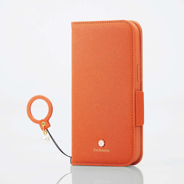 D2_ELT-PM-A22APLFJM2DR