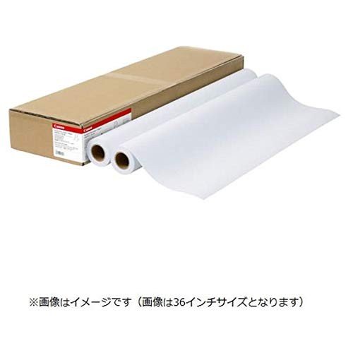 キヤノン スタンダード普通紙2 LFM-PPS2/A2/64 [8738B006]
