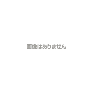 パナソニック　充電式エボルタ 単3形 2本パック（お手軽モデル） BK-3LLB/2B