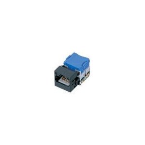 パナソニック　ぐっとすシリーズパッチパネル用モジュール(CAT6)(ブラック) NR3071B