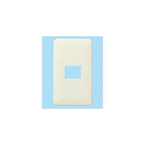 パナソニック　簡易耐火用モダンプレート1コ用 ミルキーホワイト WN6701W