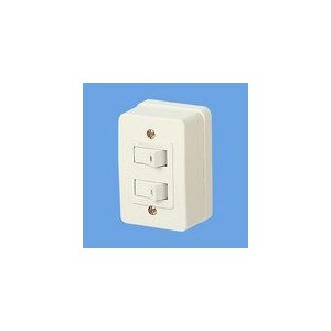 パナソニック　2連タンブラスイッチ ハイ角連用 WS3900W