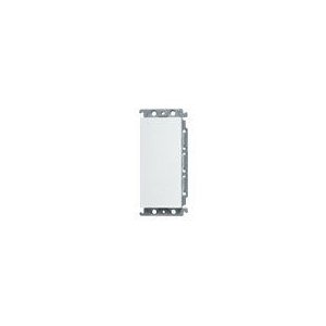パナソニック　ブランクカバー 取付枠付 ホワイト WT6191W